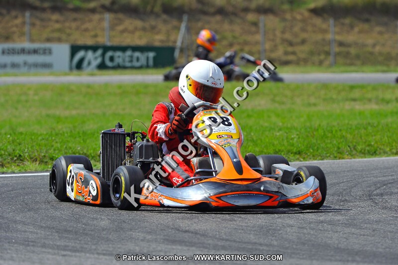 DSC_ (558).jpg